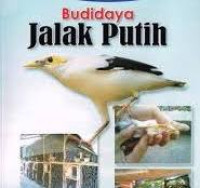 Budidaya Jalak Putih / Rukmaman